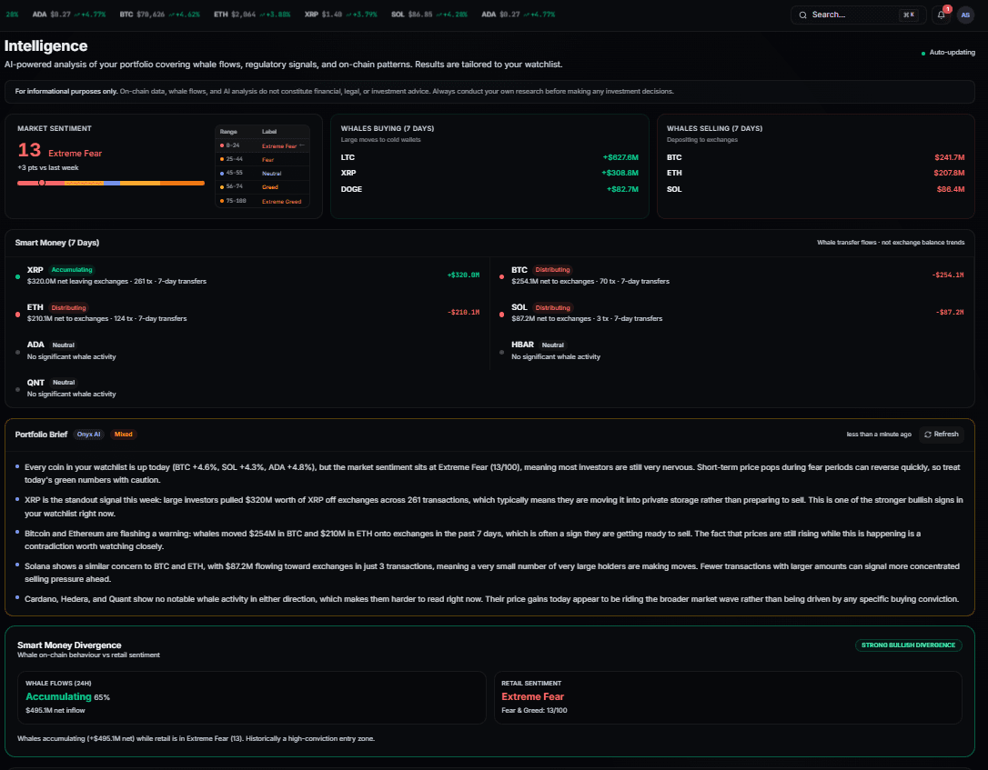 Market Overview